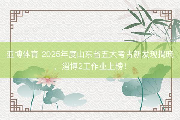 亚博体育 2025年度山东省五大考古新发现揭晓,淄博2工作业上榜!