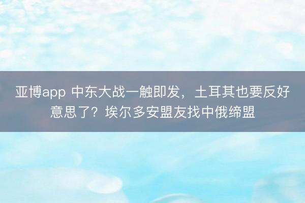 亚博app 中东大战一触即发,土耳其也要反好意思了?埃尔多安盟友找中俄缔盟