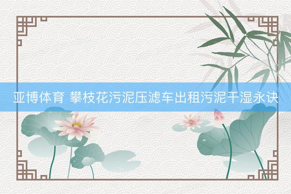 亚博体育 攀枝花污泥压滤车出租污泥干湿永诀