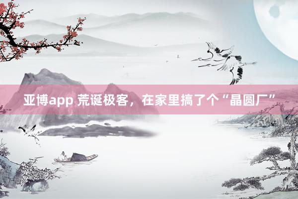 亚博app 荒诞极客,在家里搞了个“晶圆厂”