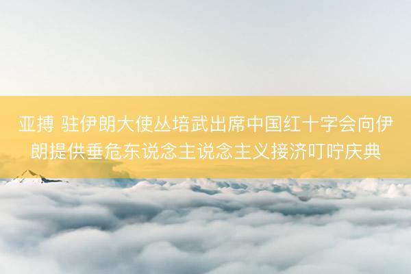 亚搏 驻伊朗大使丛培武出席中国红十字会向伊朗提供垂危东说念主说念主义接济叮咛庆典