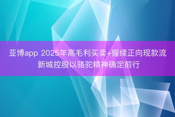 亚博app 2025年高毛利买卖+握续正向现款流 新城控股以骆驼精神确定前行