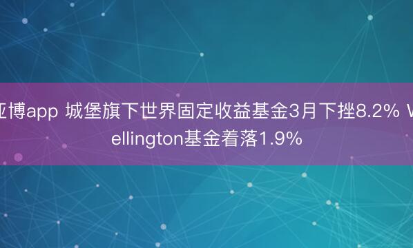 亚博app 城堡旗下世界固定收益基金3月下挫8.2% Wellington基金着落1.9%