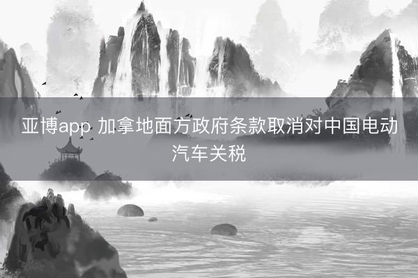 亚博app 加拿地面方政府条款取消对中国电动汽车关税