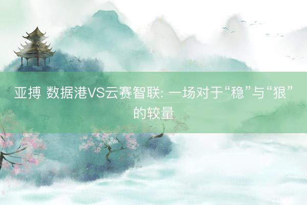 亚搏 数据港VS云赛智联: 一场对于“稳”与“狠”的较量