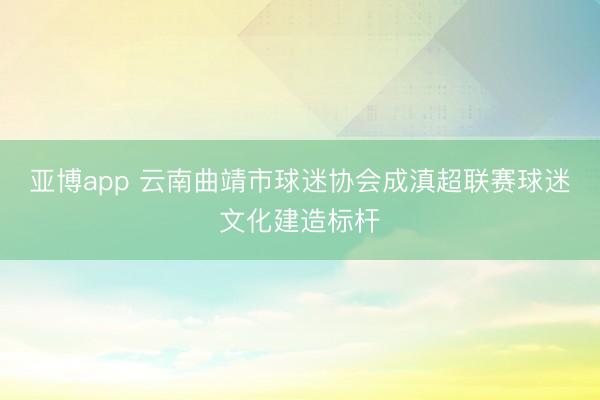 亚博app 云南曲靖市球迷协会成滇超联赛球迷文化建造标杆