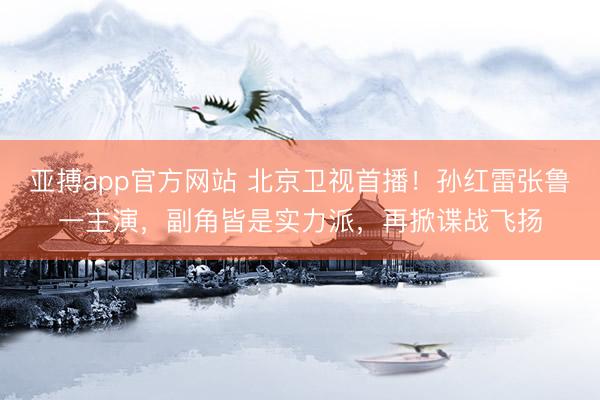 亚搏app官方网站 北京卫视首播！孙红雷张鲁一主演，副角皆是实力派，再掀谍战飞扬