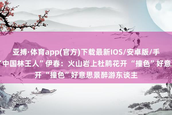 亚搏·体育app(官方)下载最新IOS/安卓版/手机版APP下载 “中国林王人”伊春：火山岩上杜鹃花开 “撞色”好意思景醉游东谈主