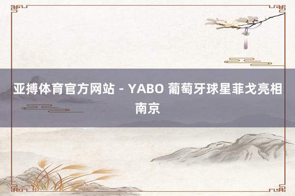 亚搏体育官方网站 - YABO 葡萄牙球星菲戈亮相南京