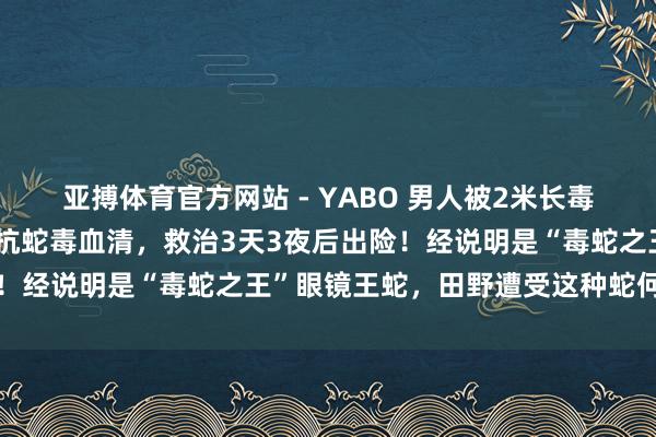 亚搏体育官方网站 - YABO 男人被2米长毒蛇咬伤,用了整整13支抗蛇毒血清,救治3天3夜后出险!经说明是“毒蛇之王”眼镜王蛇,田野遭受这种蛇何如办→
