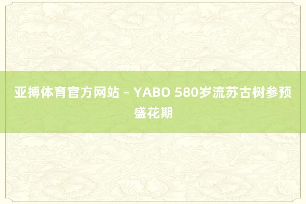 亚搏体育官方网站 - YABO 580岁流苏古树参预盛花期