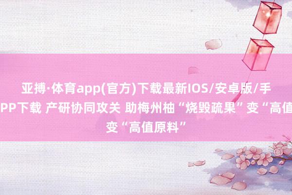 亚搏·体育app(官方)下载最新IOS/安卓版/手机版APP下载 产研协同攻关 助梅州柚“烧毁疏果”变“高值原料”