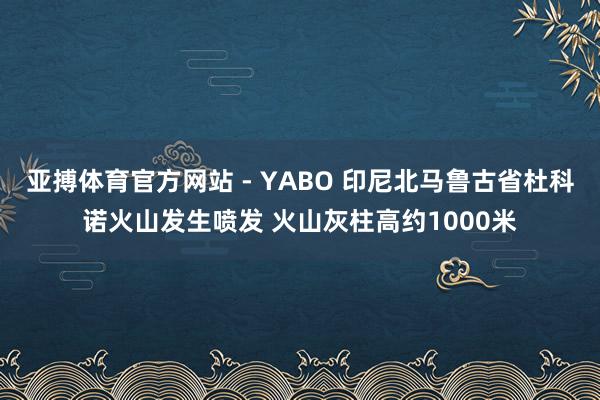 亚搏体育官方网站 - YABO 印尼北马鲁古省杜科诺火山发生喷发 火山灰柱高约1000米