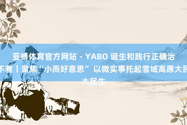 亚搏体育官方网站 - YABO 诞生和践行正确治绩不雅丨聚焦“小而好意思” 以微实事托起雪域高原大民生