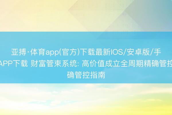 亚搏·体育app(官方)下载最新IOS/安卓版/手机版APP下载 财富管束系统: 高价值成立全周期精确管控指南
