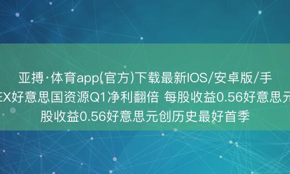 亚搏·体育app(官方)下载最新IOS/安卓版/手机版APP下载 REX好意思国资源Q1净利翻倍 每股收益0.56好意思元创历史最好首季