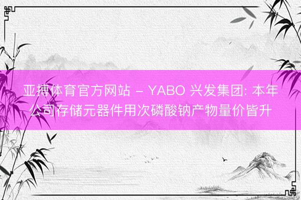 亚搏体育官方网站 - YABO 兴发集团: 本年公司存储元器件用次磷酸钠产物量价皆升