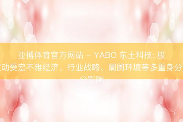 亚搏体育官方网站 - YABO 东土科技: 股价波动受宏不雅经济、行业战略、阛阓环境等多重身分影响